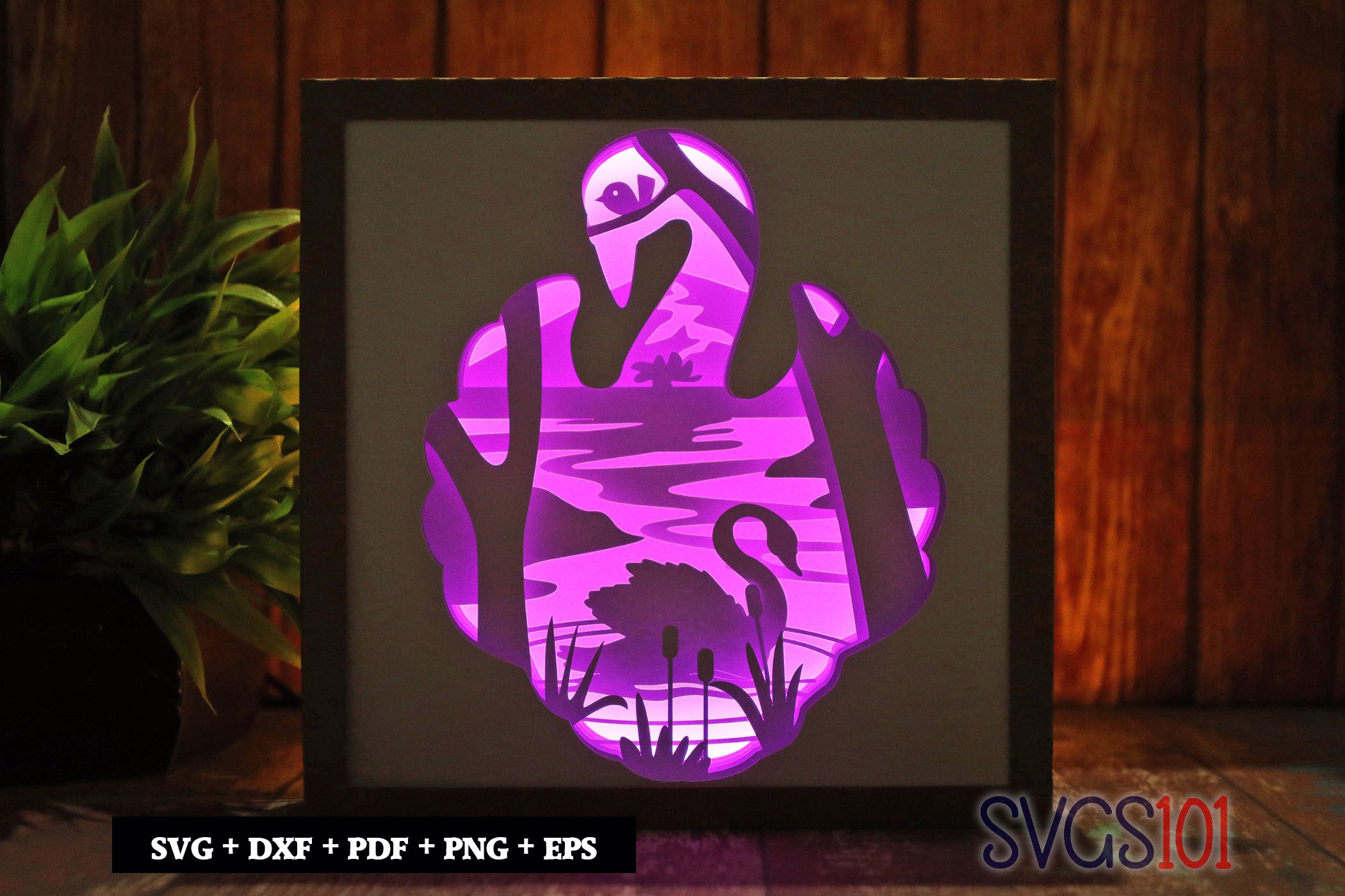 Swan Swimming in Lake Shadow Box Light Box 8x8, 12x12