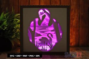 Swan Swimming in Lake Shadow Box Light Box 8x8, 12x12