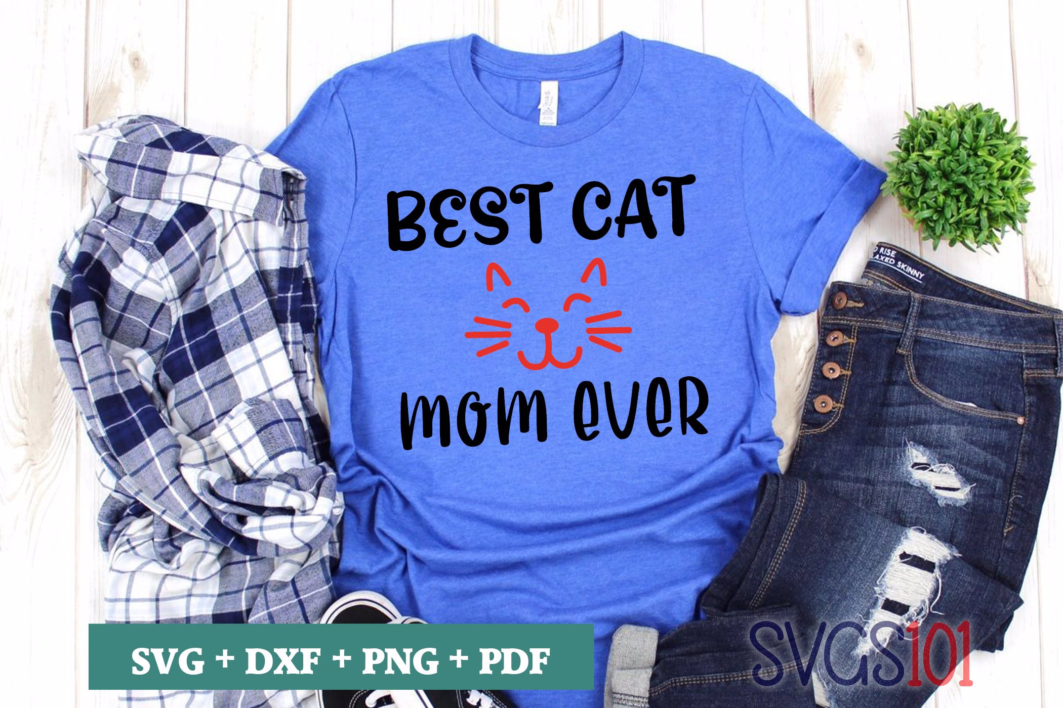 Best cat ever
