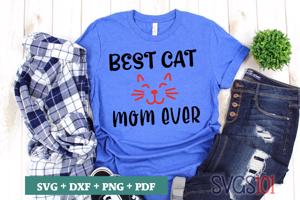 Best cat ever