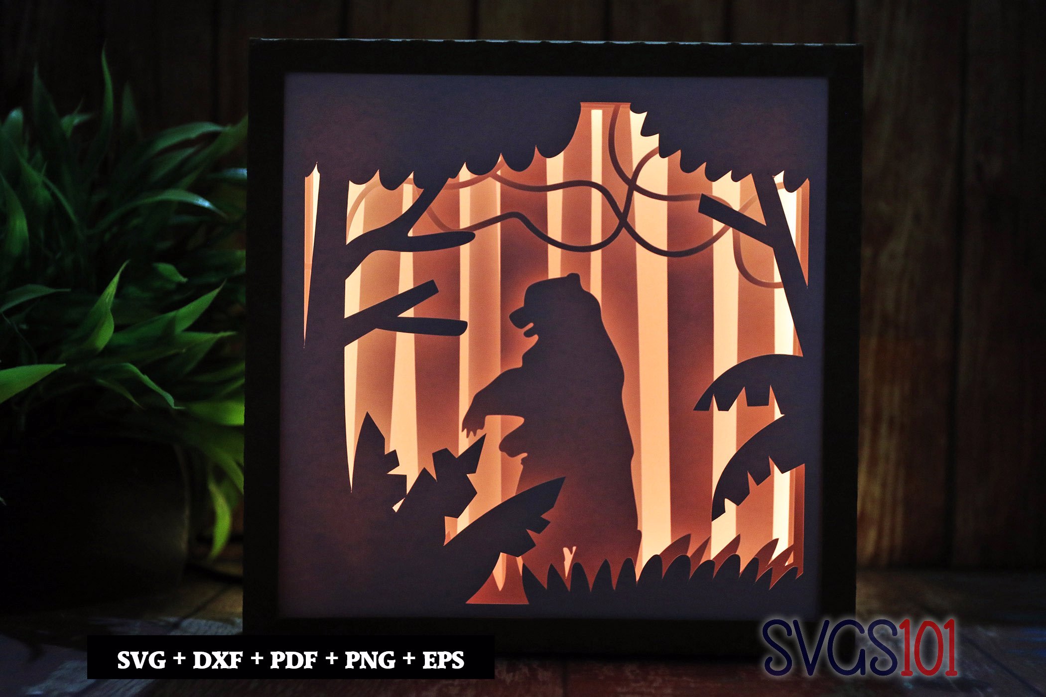 Big Bear DIY Shadow Box Light Box 8x8, 12x12