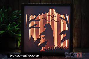 Big Bear DIY Shadow Box Light Box 8x8, 12x12