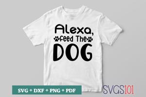Alexa, Feed The Dog