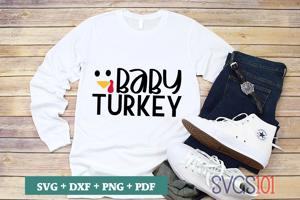 Baby Turkey