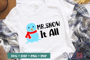 Mr Snow It All