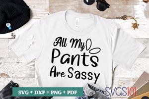 All My Pants Are Sassy