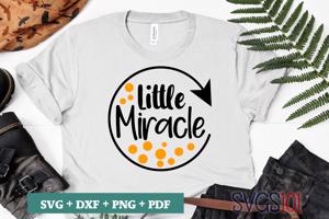 Little Miracle