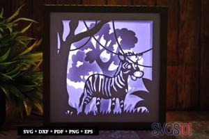 Zebra in Jungle LED Light Box Shadow Box Square 8x8, 12x12