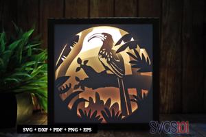 Hornbill Bird Shadow Box Light Box 8x8, 12x12