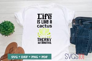 Life is Like a Cactus Thorny But Beautiful