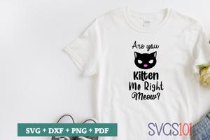 Are You Kitten Me Right Meow