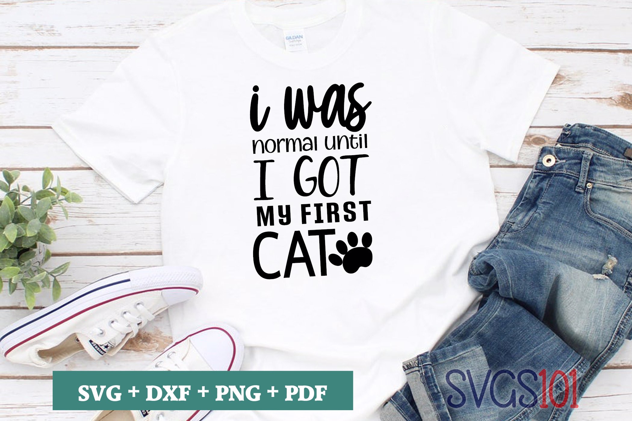 I Was Normal Until I got my First Cat