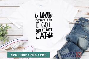 I Was Normal Until I got my First Cat