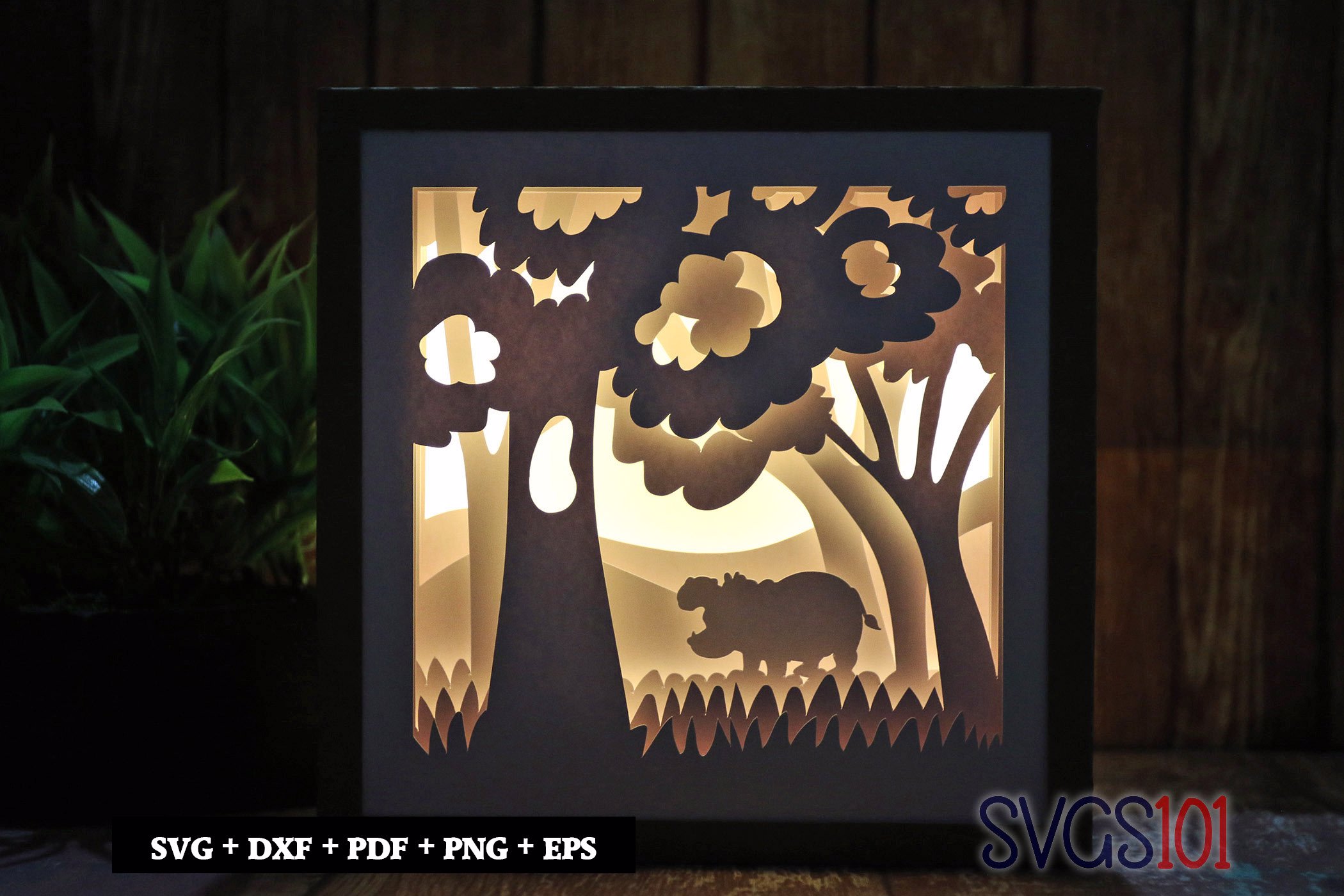 Wild Hippopotamus Shadow Box Light Box 8x8, 12x12